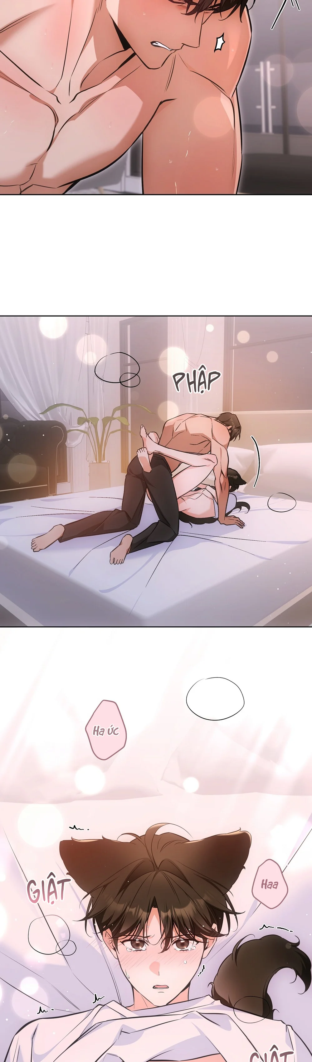 Trang 31