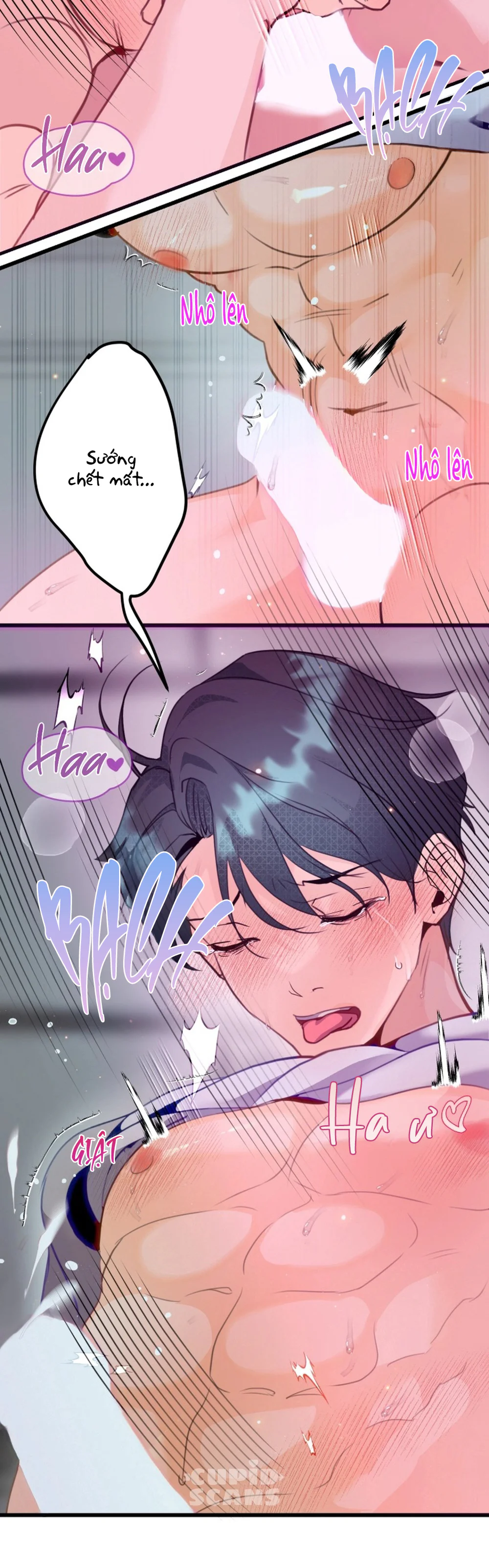  - Trang 