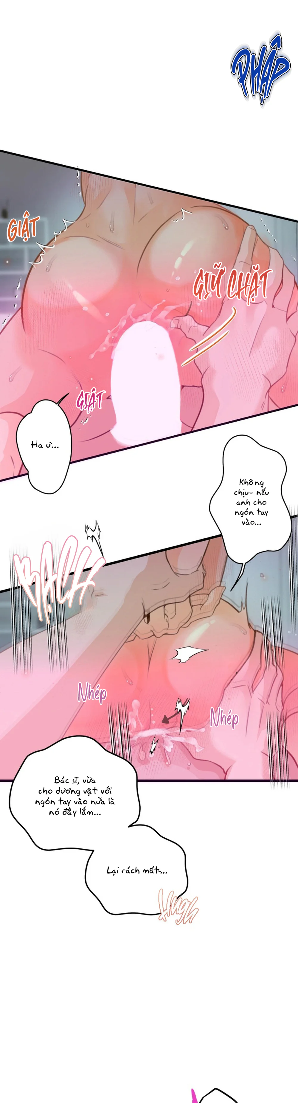  - Trang 