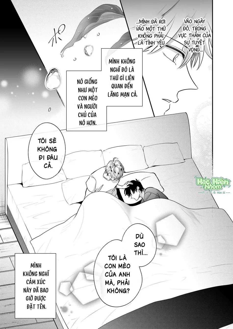  - Trang 