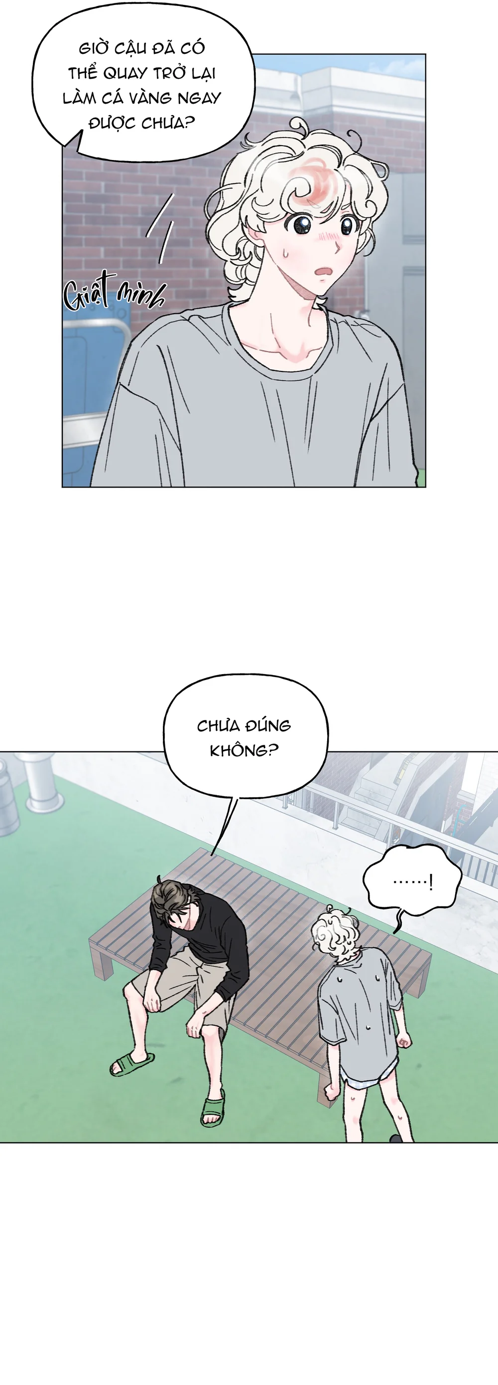  - Trang 