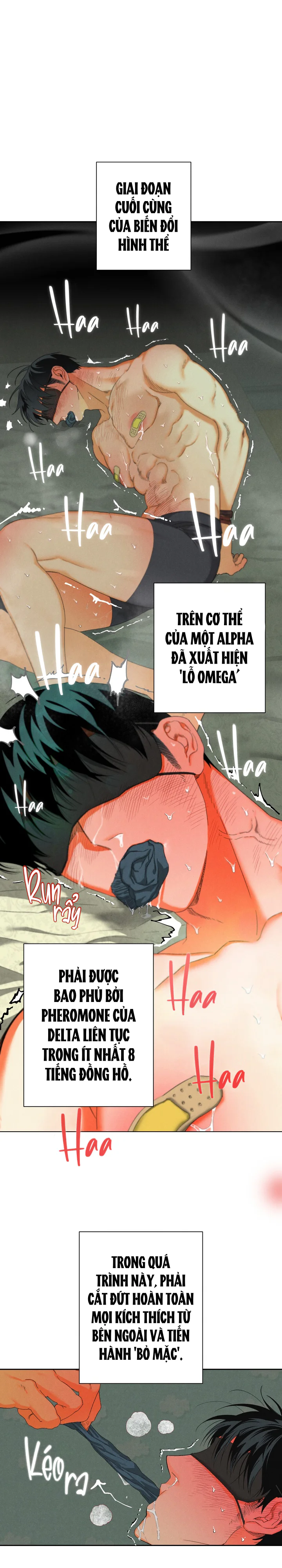  - Trang 
