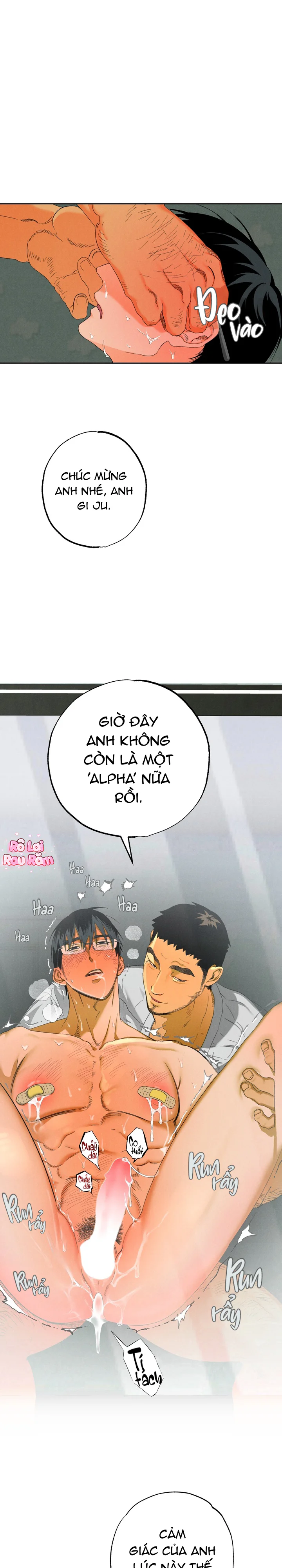  - Trang 