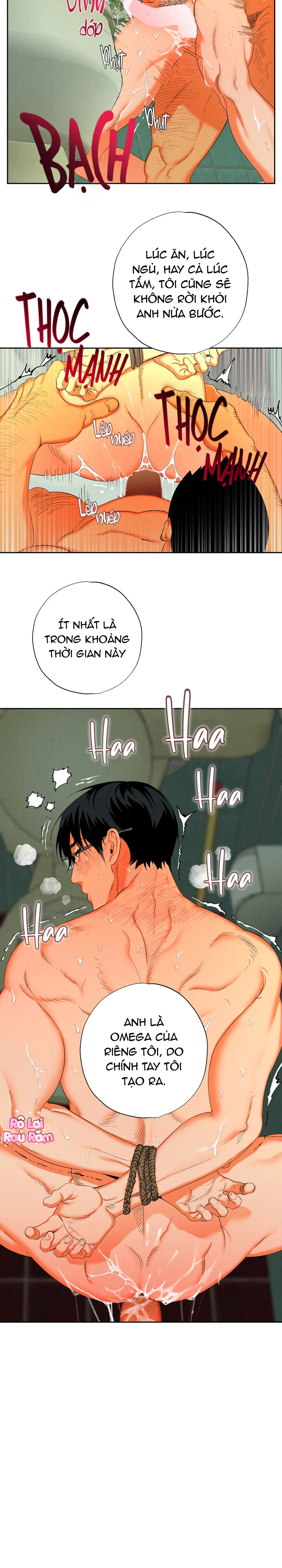  - Trang 