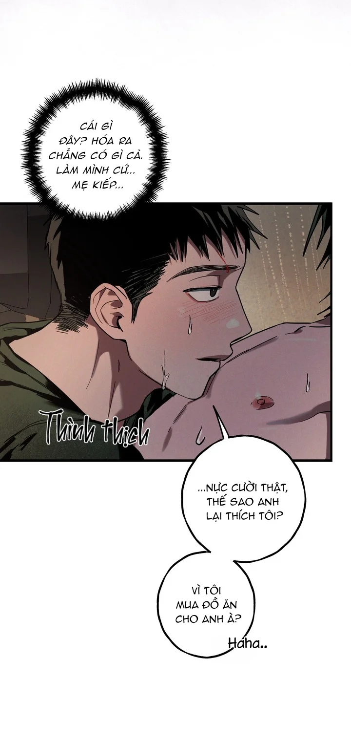  - Trang 