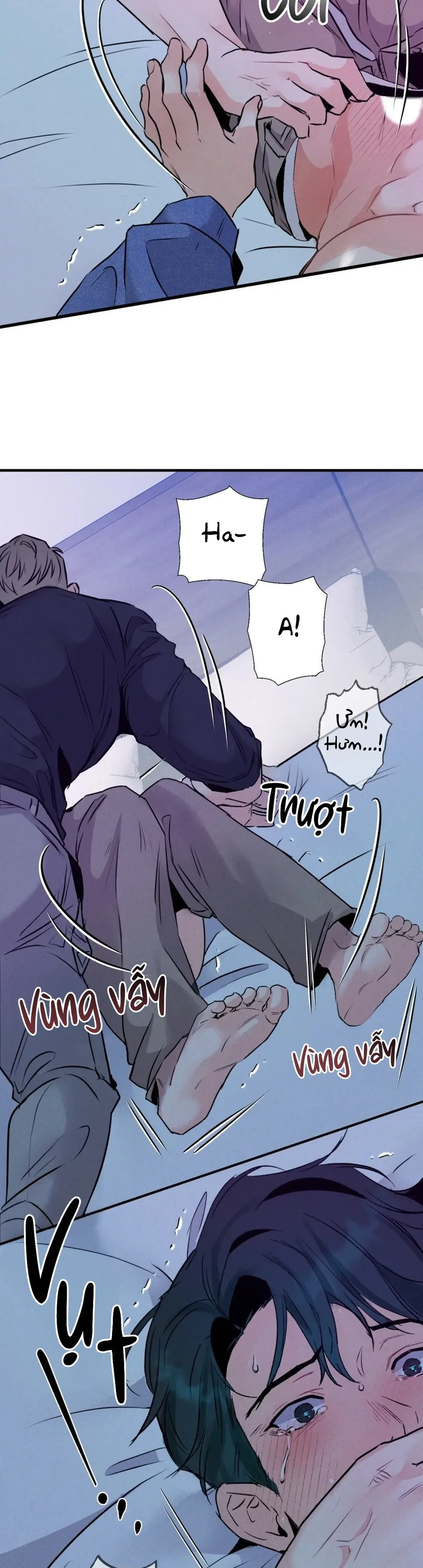  - Trang 