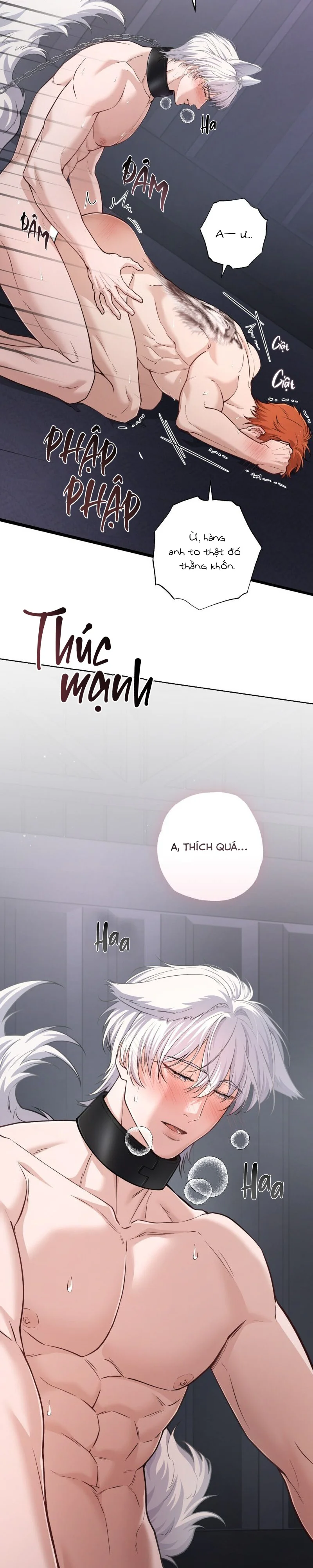  - Trang 
