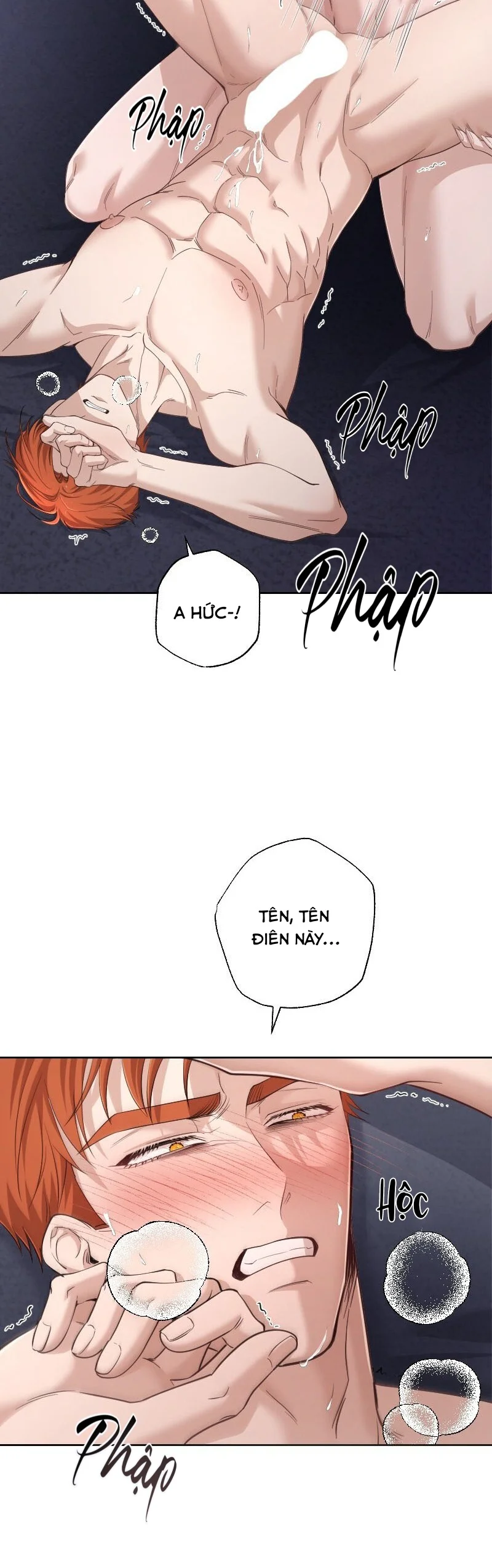  - Trang 