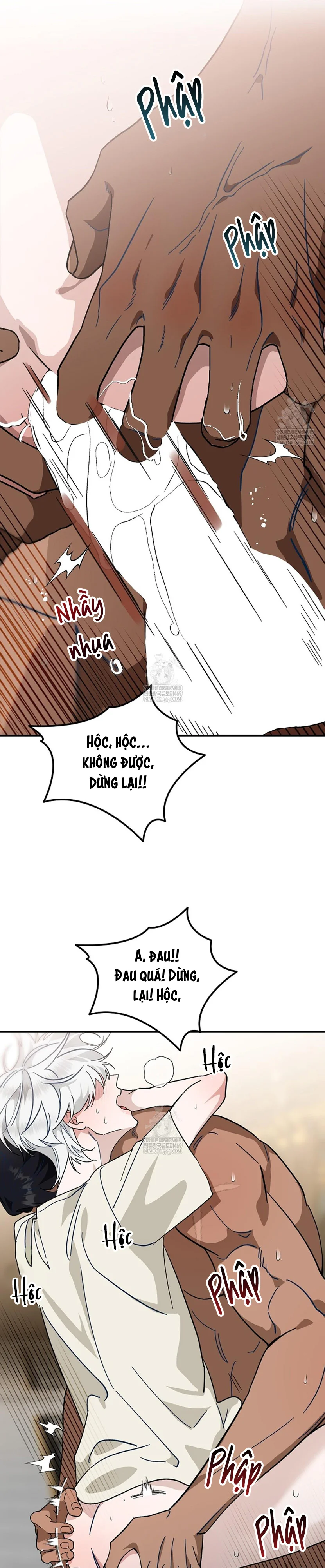  - Trang 
