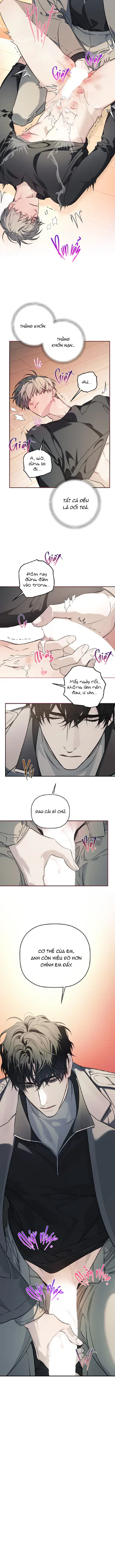  - Trang 