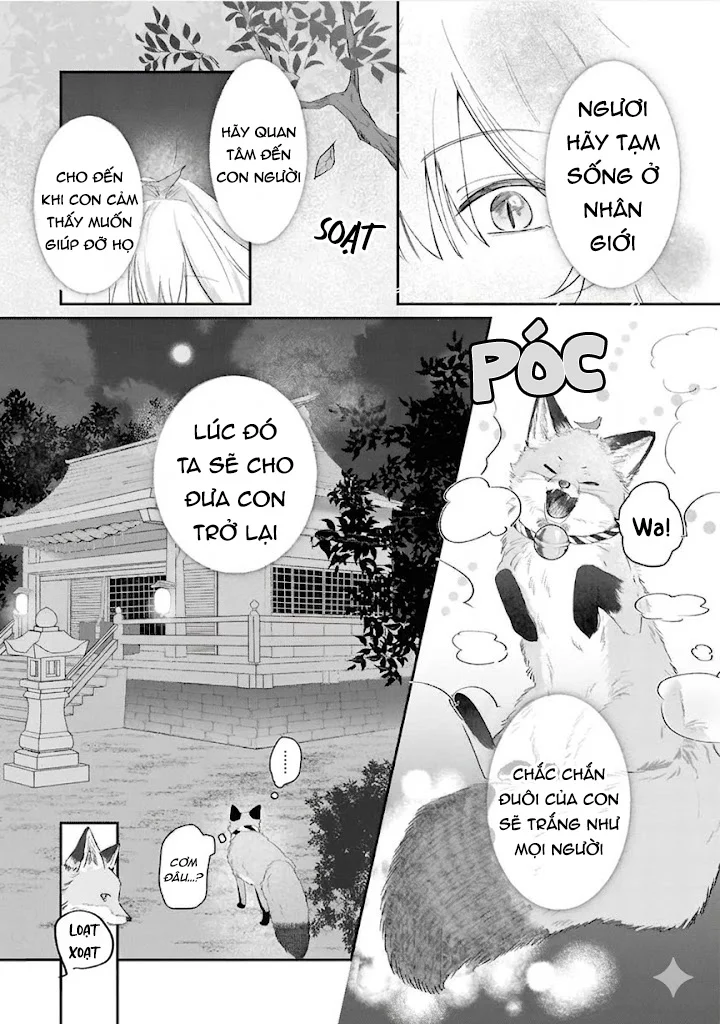  - Trang 