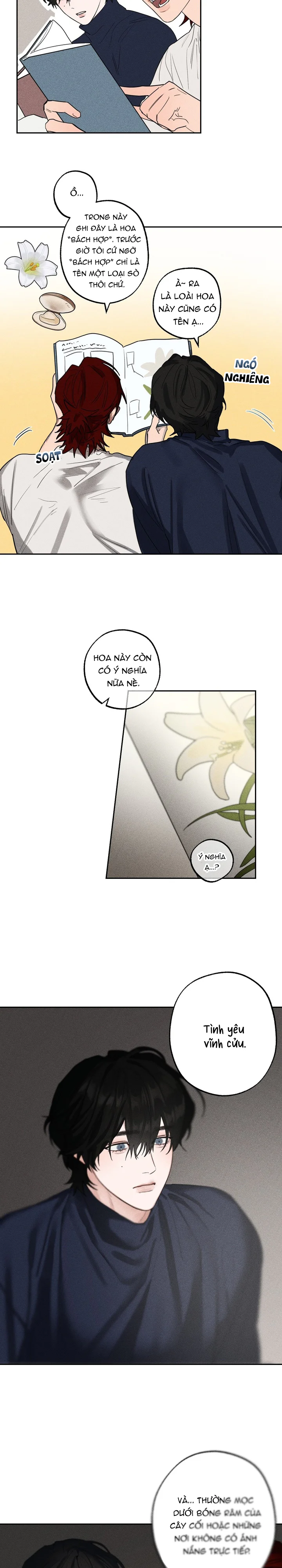  - Trang 
