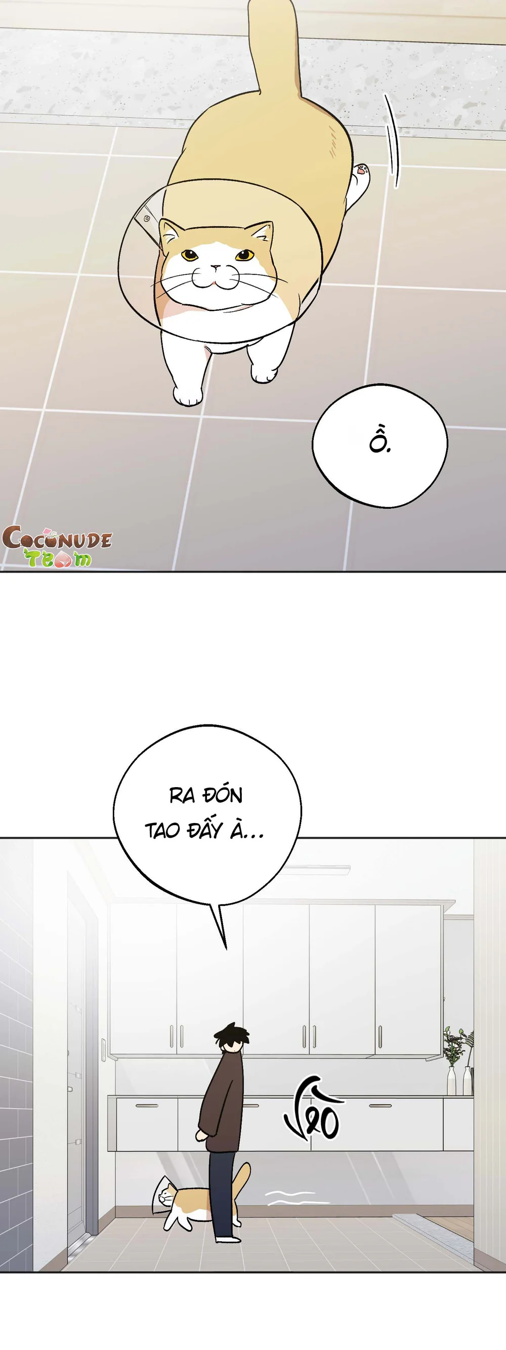  - Trang 