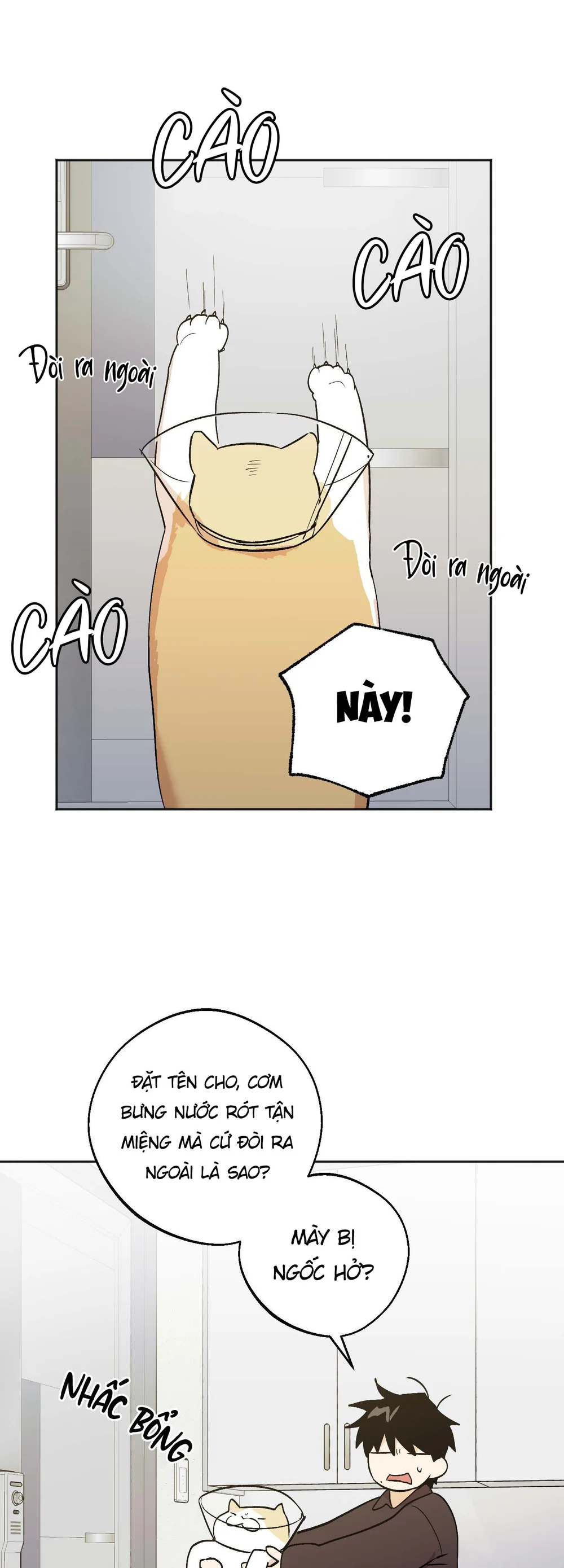  - Trang 