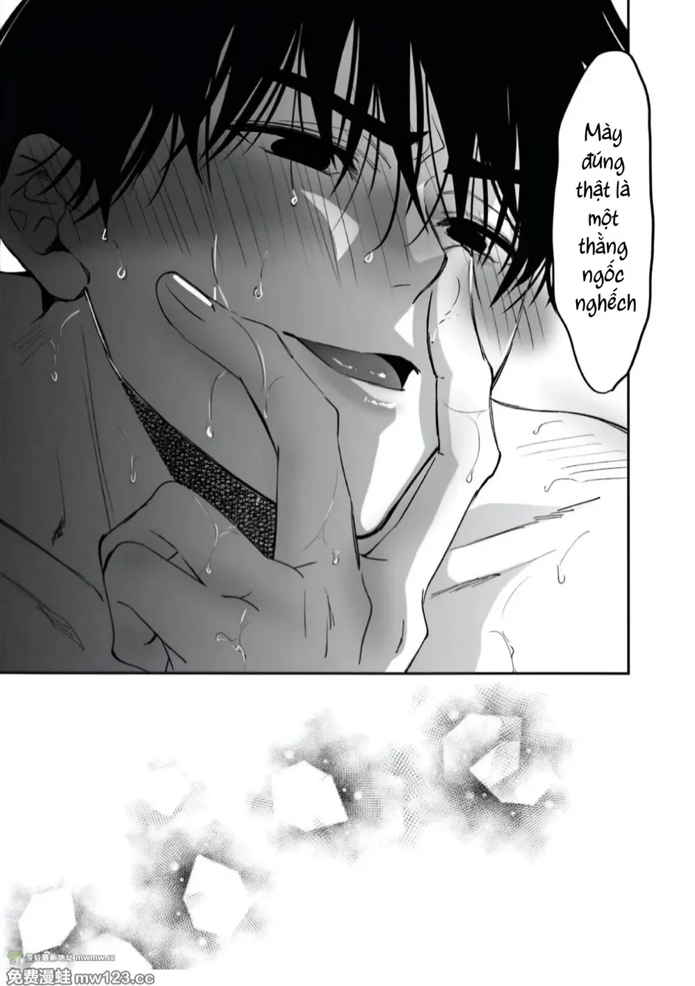  - Trang 