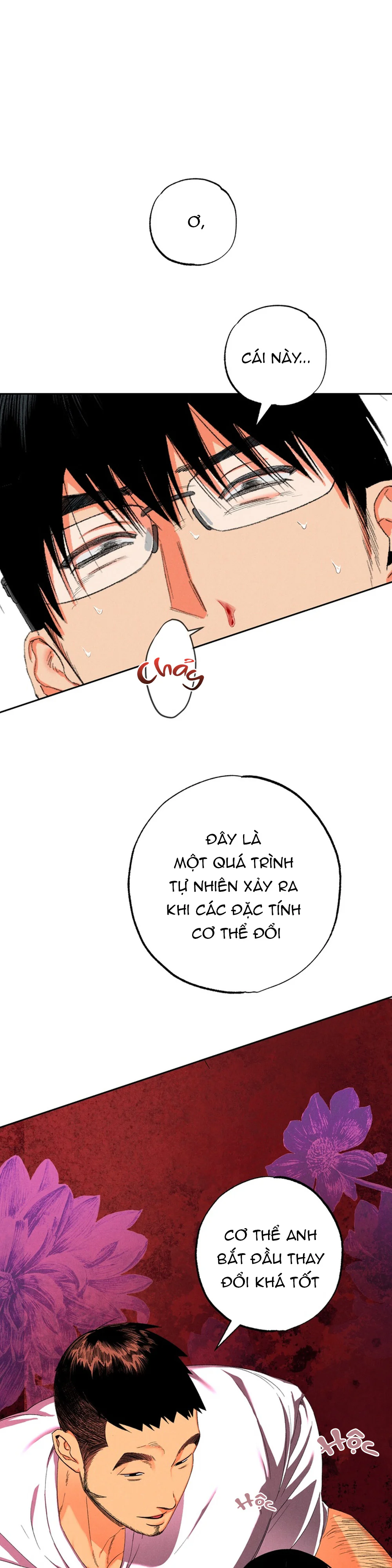  - Trang 