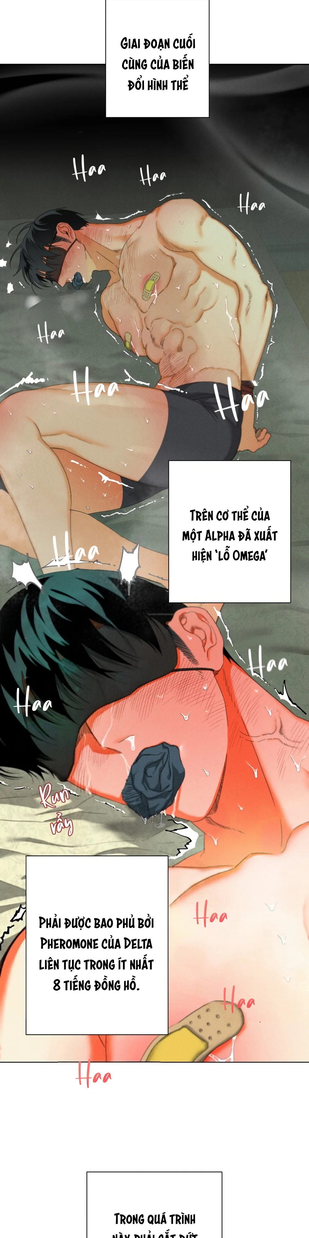  - Trang 
