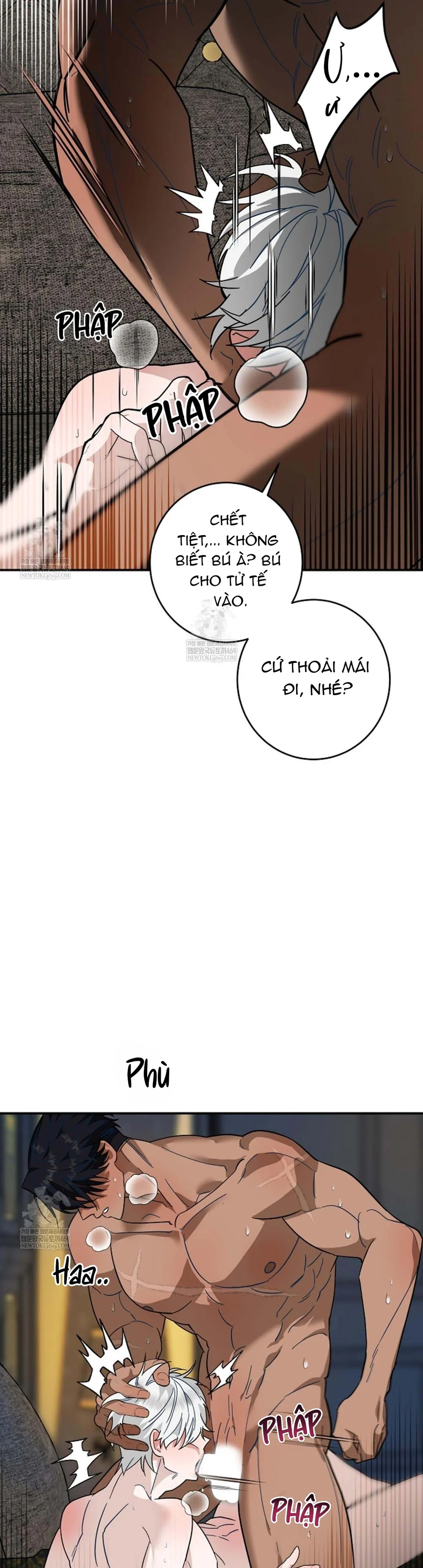  - Trang 