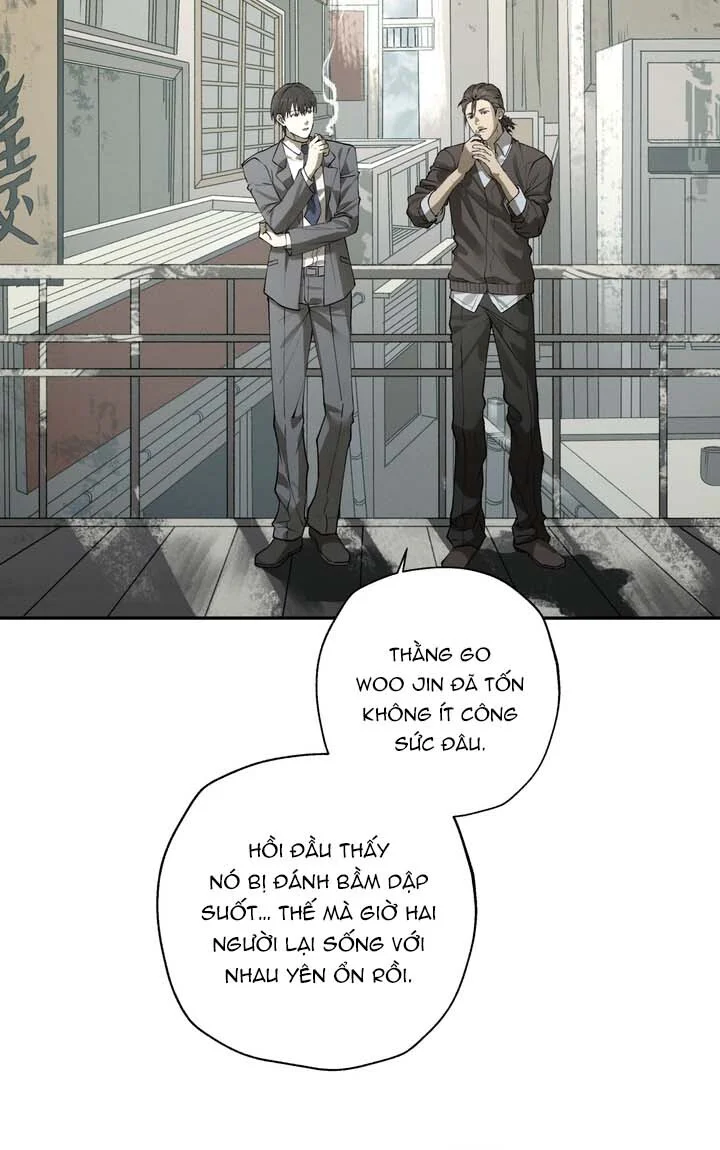 Trang 16