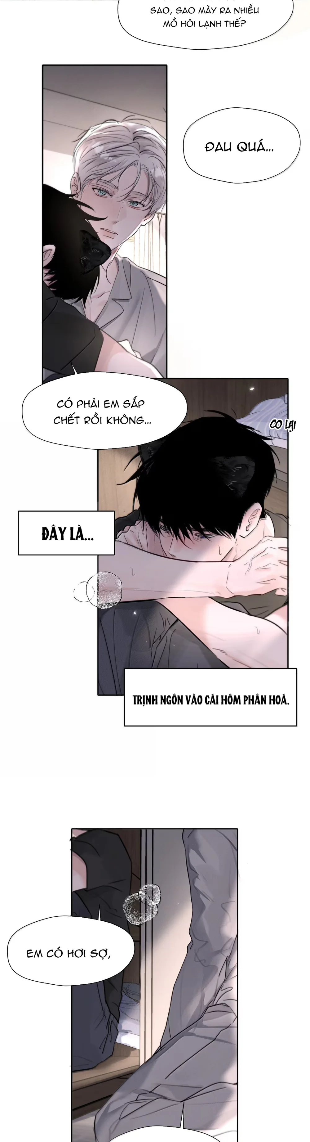  - Trang 