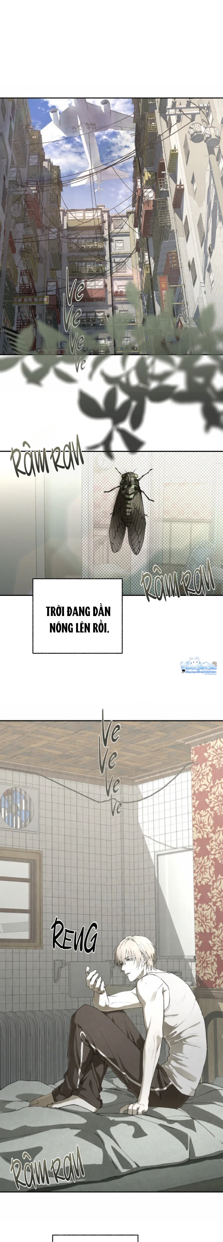  - Trang 
