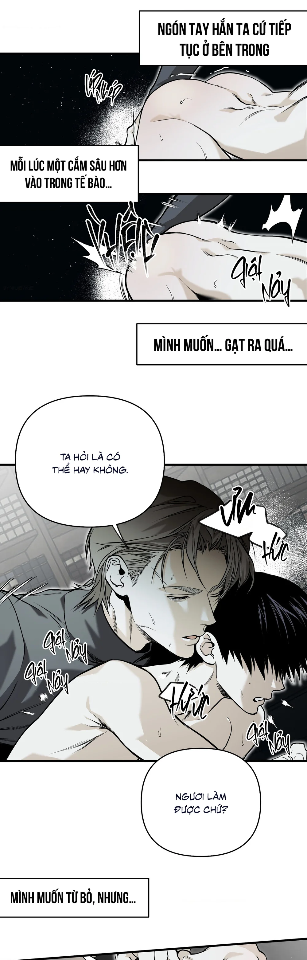  - Trang 