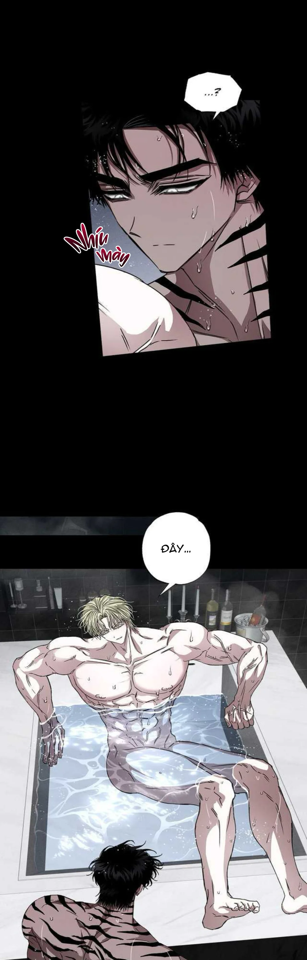  - Trang 