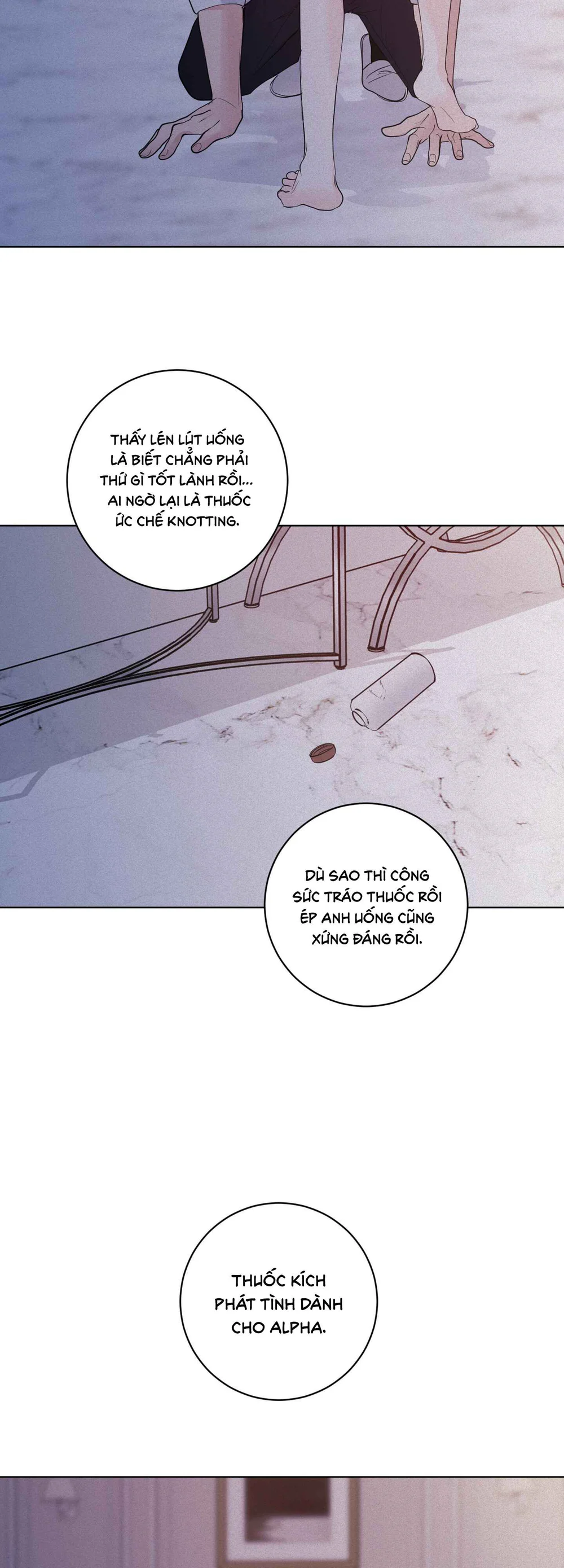  - Trang 