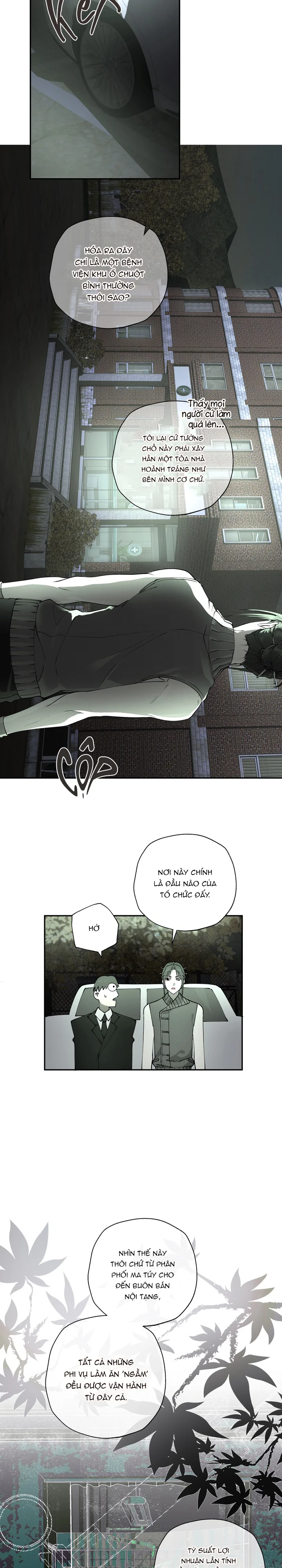  - Trang 
