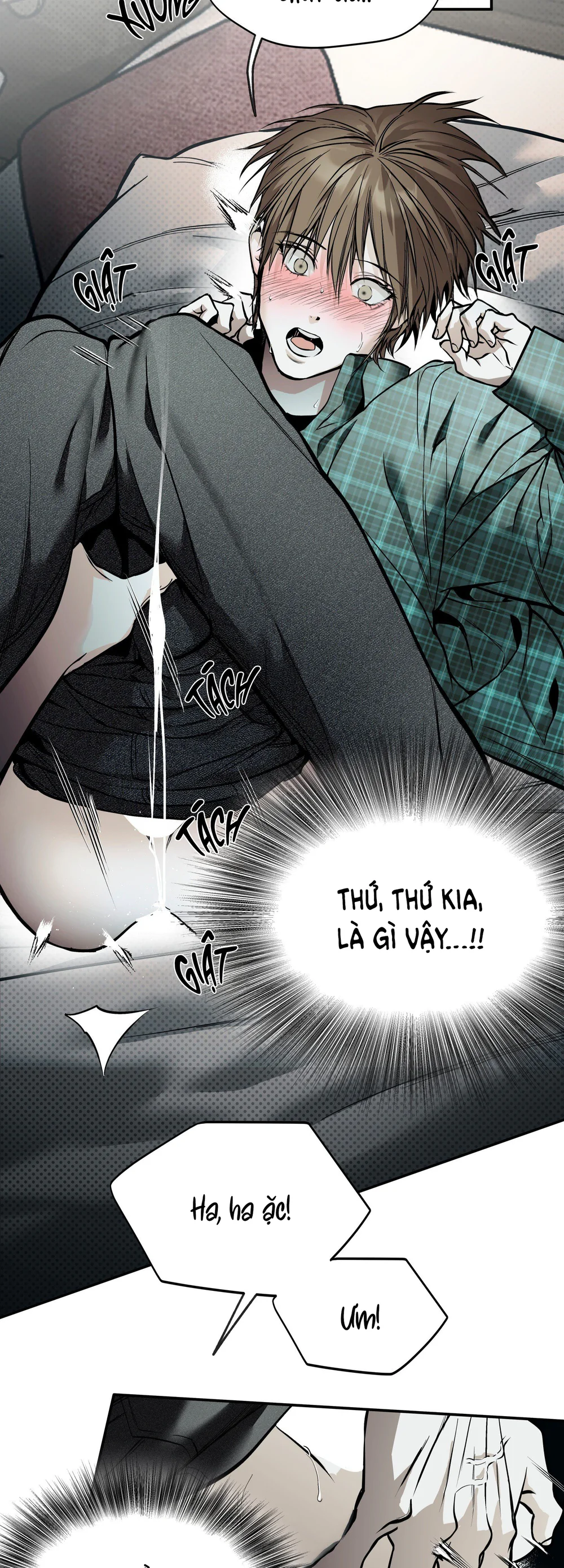  - Trang 