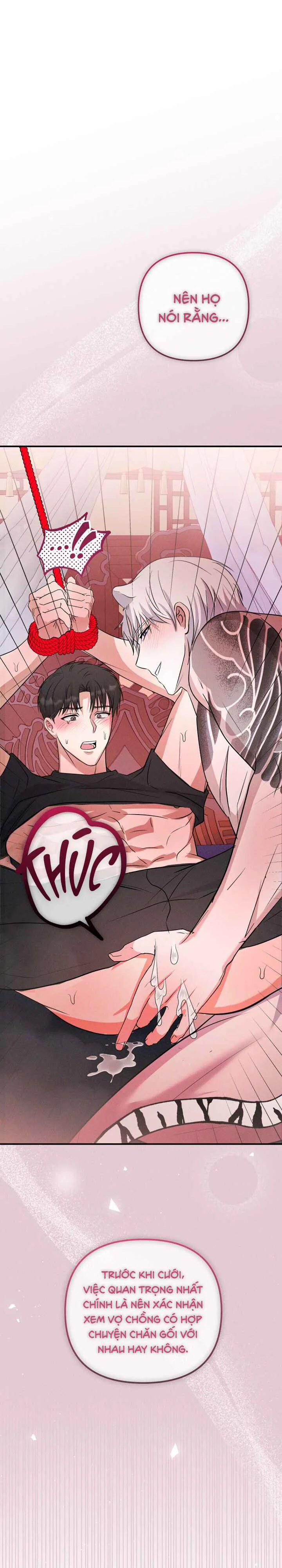  - Trang 