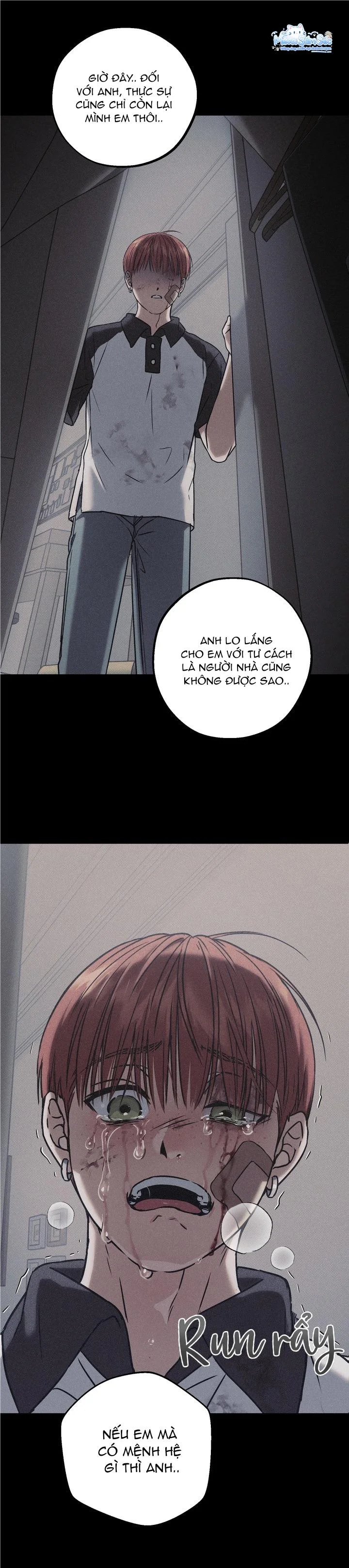  - Trang 