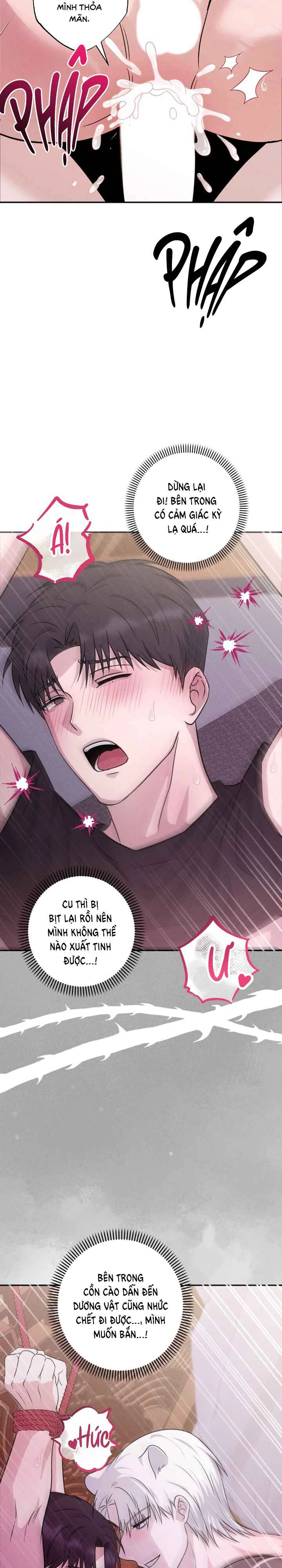  - Trang 