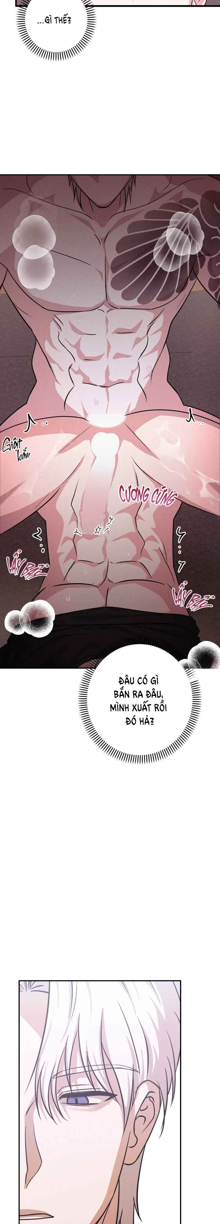  - Trang 