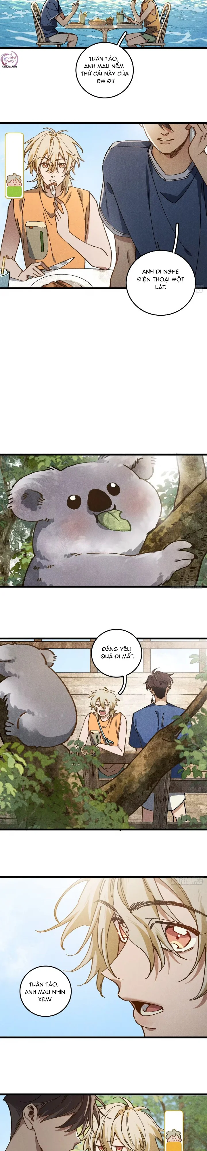 Trang 12