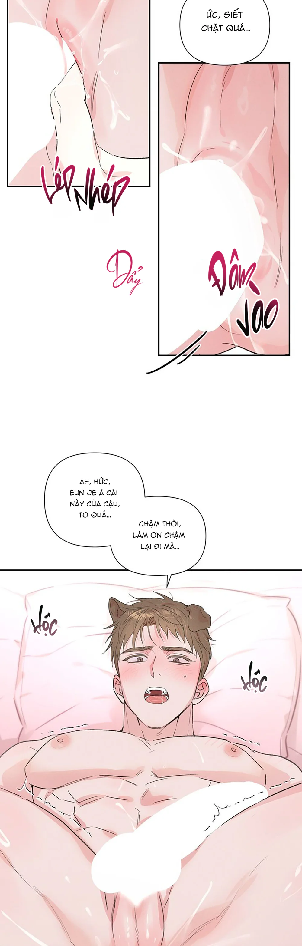 Trang 22