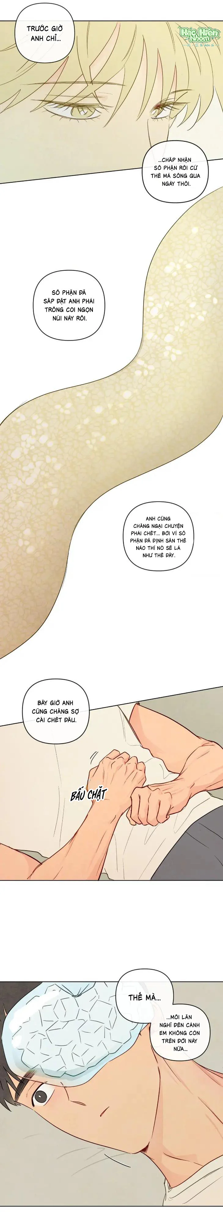  - Trang 