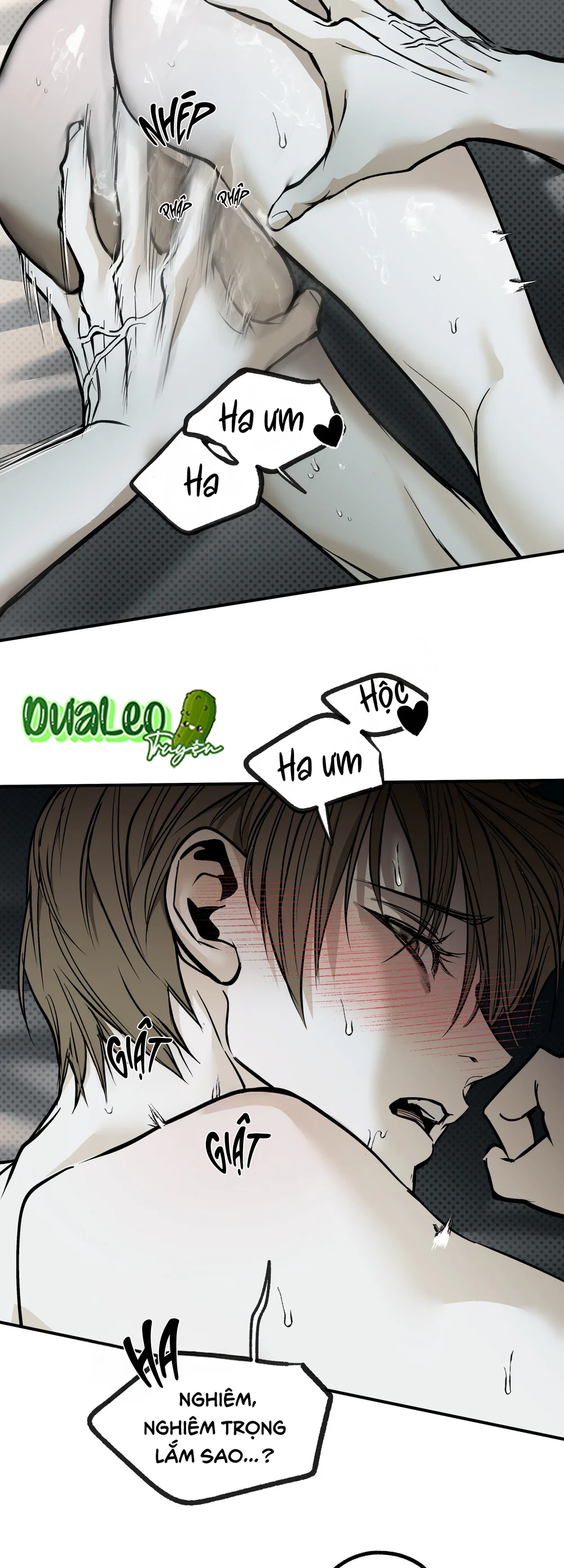  - Trang 