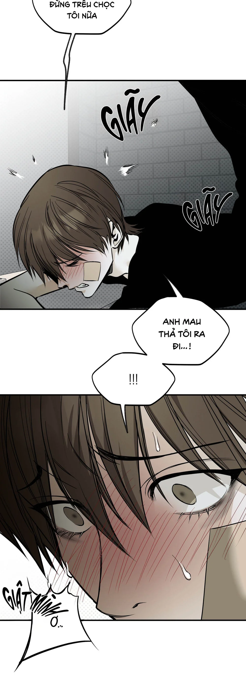  - Trang 