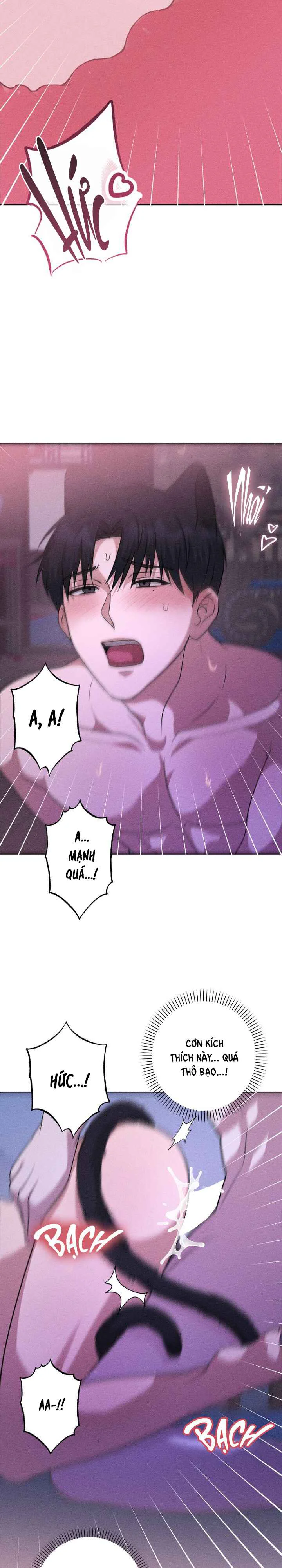  - Trang 