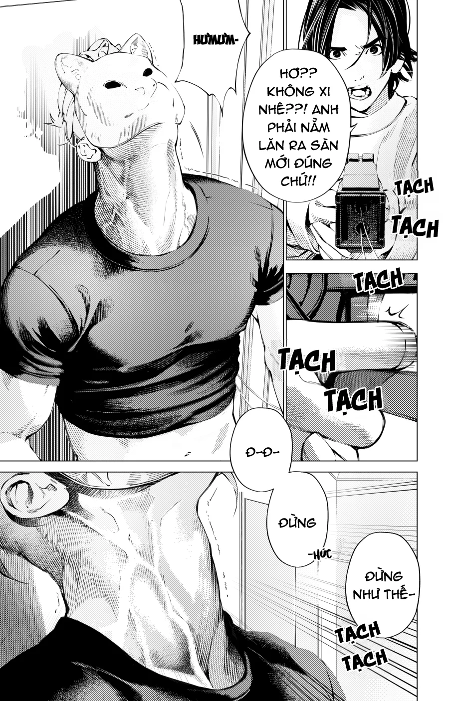 Trang 12