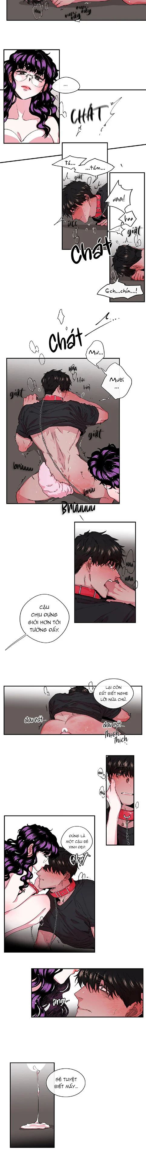  - Trang 