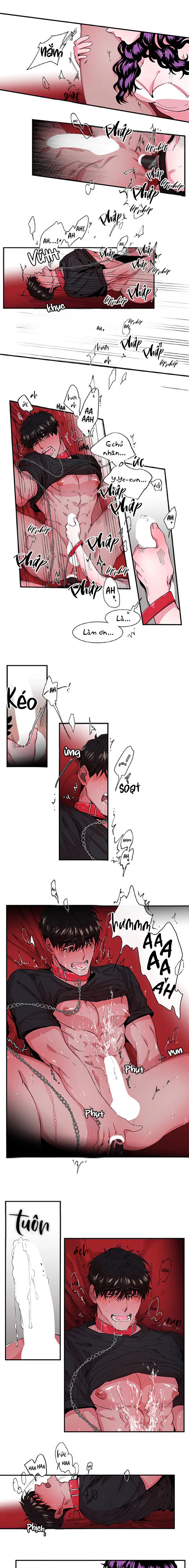  - Trang 