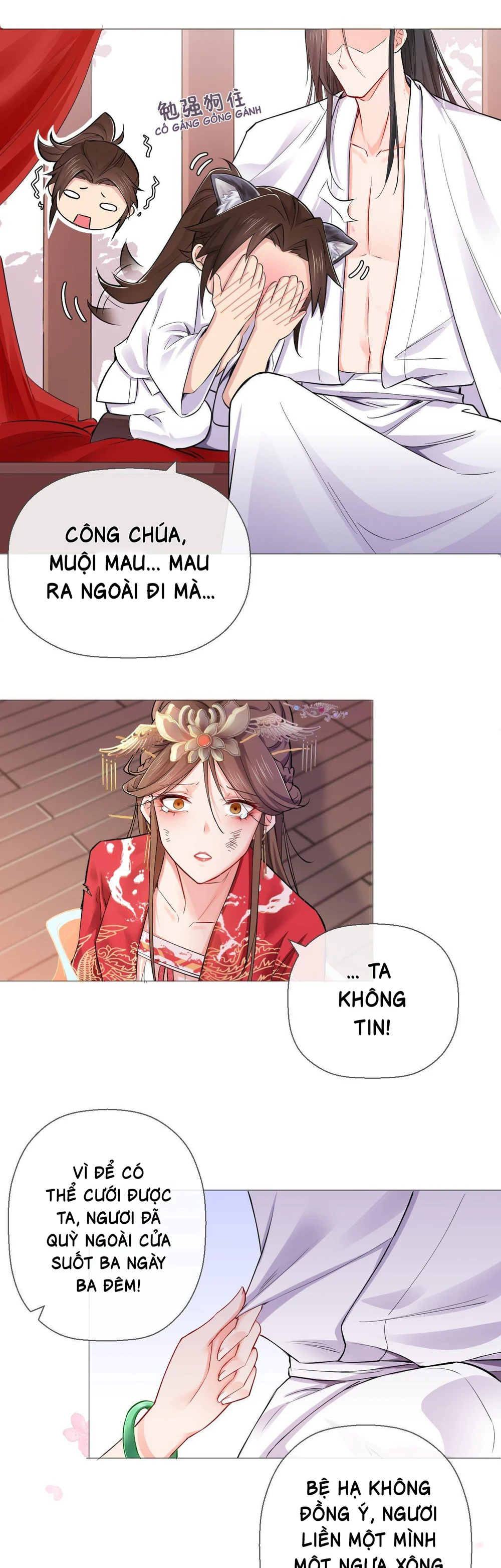 Trang 17