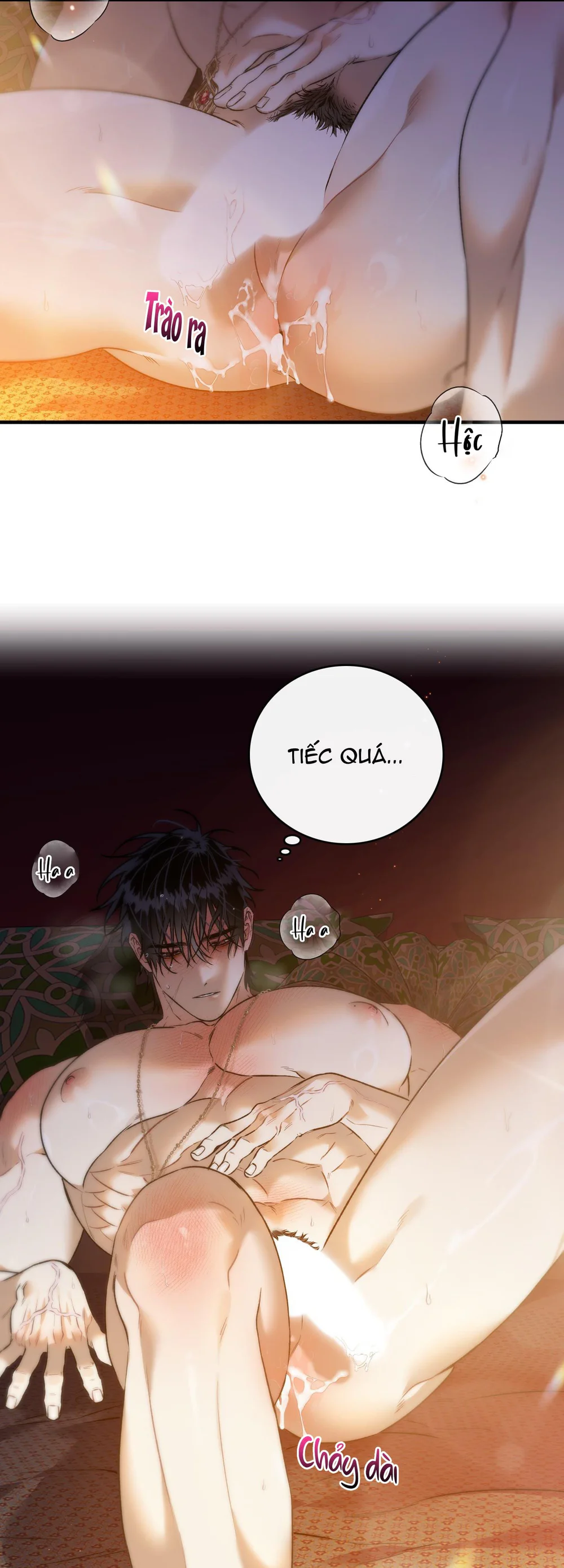  - Trang 
