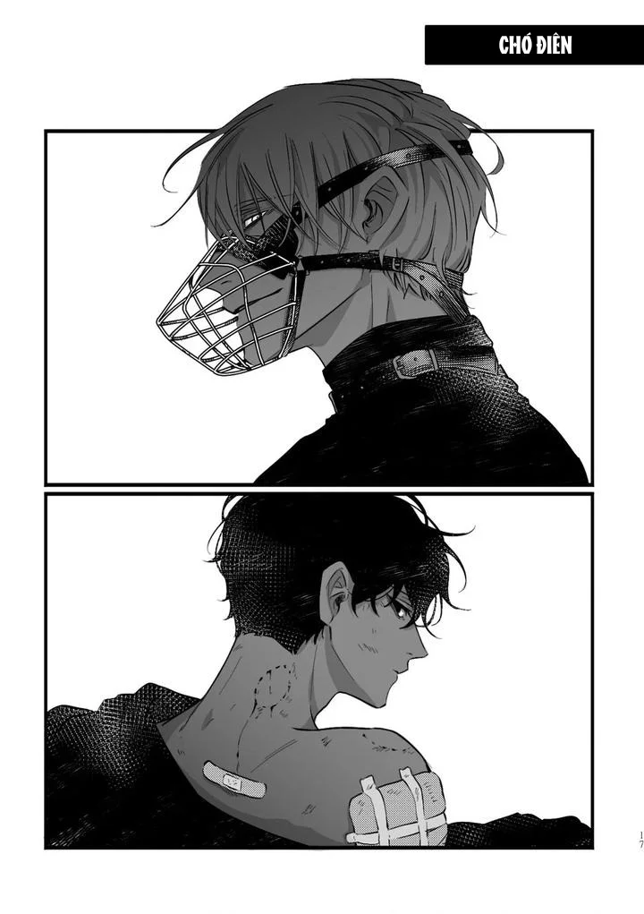  - Trang 