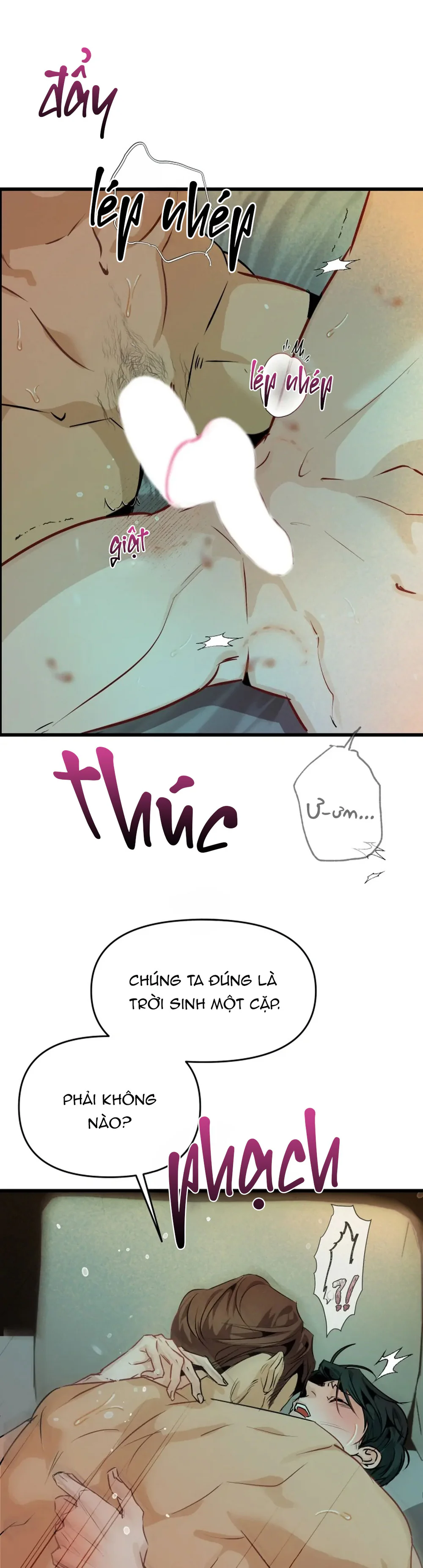  - Trang 