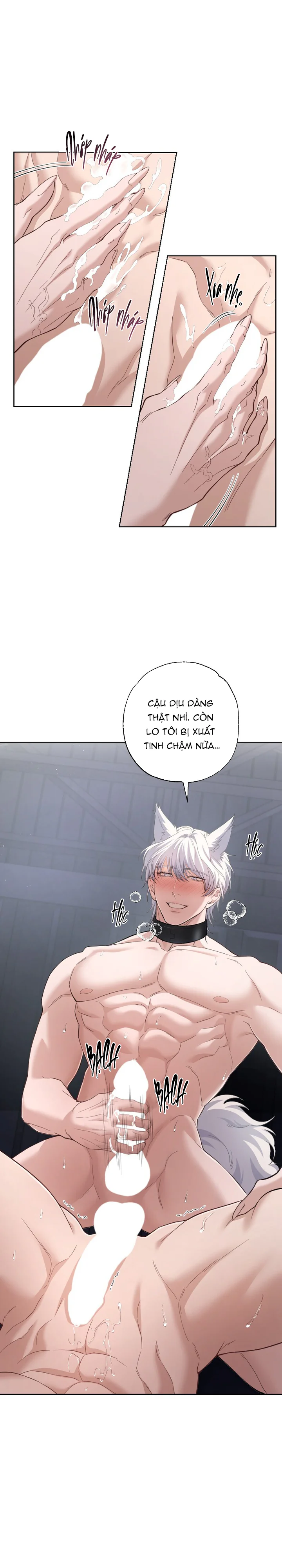 Trang 23