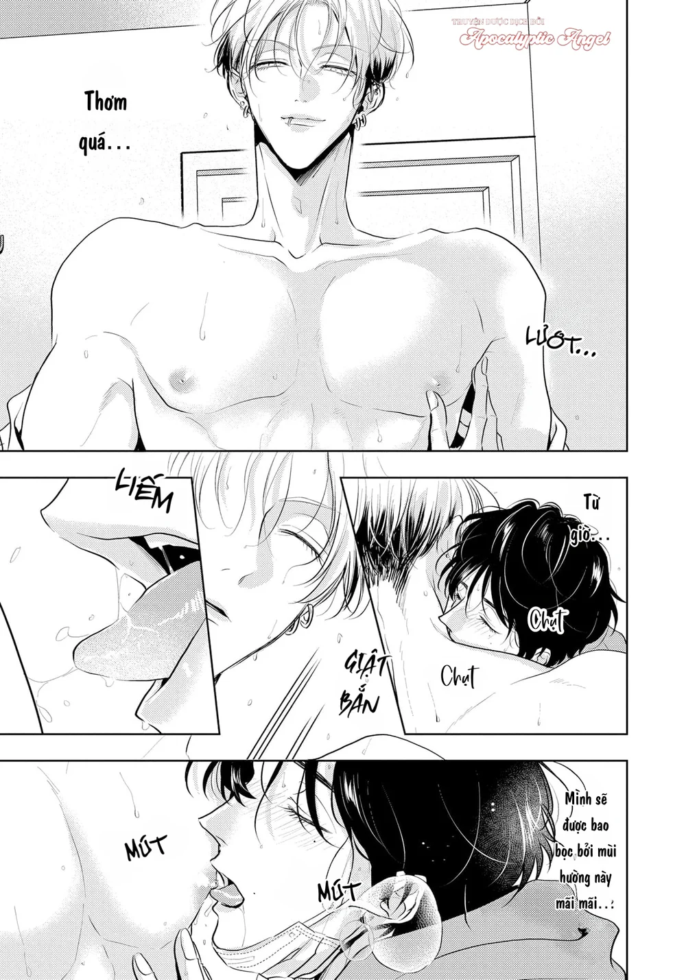 - Trang 