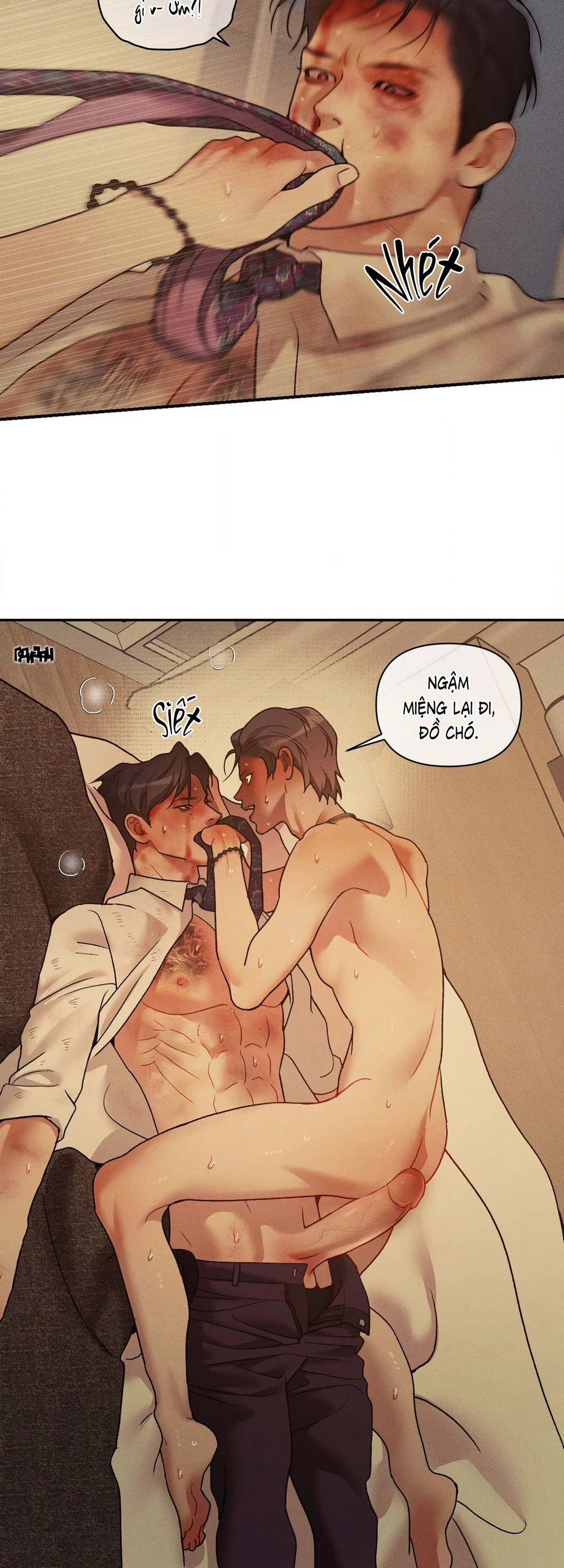  - Trang 